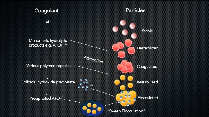 flow chart of adding coagulant and its effect on particles